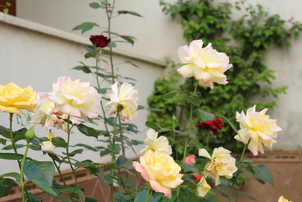 Apartamento Jardin De La Ribera. Cordoba Exterior photo